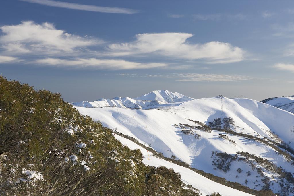 Sambuca Daire Mount Hotham Oda fotoğraf